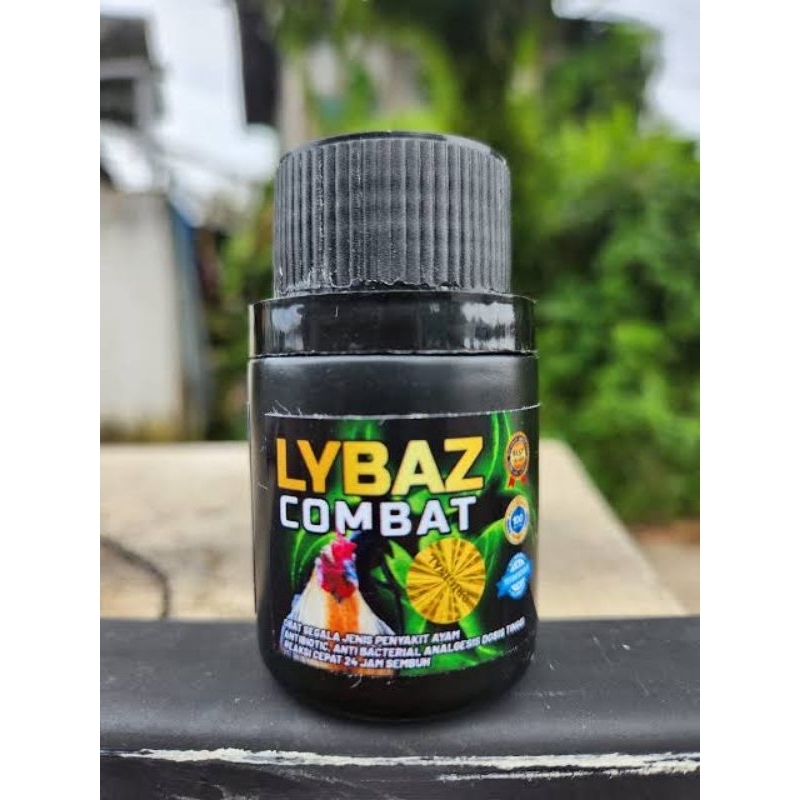lybaz combat