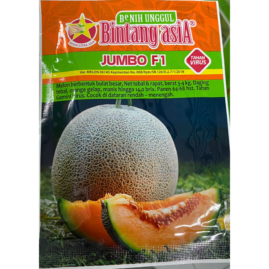 Benih melon JUMBO F1 20 gr BINTANG ASIA