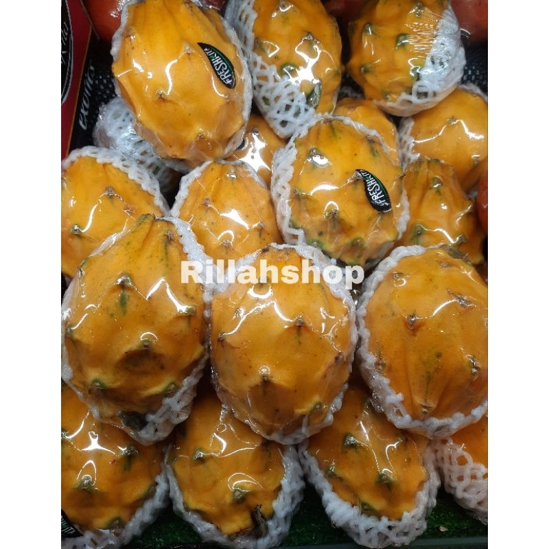 

Buah Naga Kuning Import Equador Fresh, Best Seller Buah Naga Kuning Asli Equador 500g, Dragon Yellow