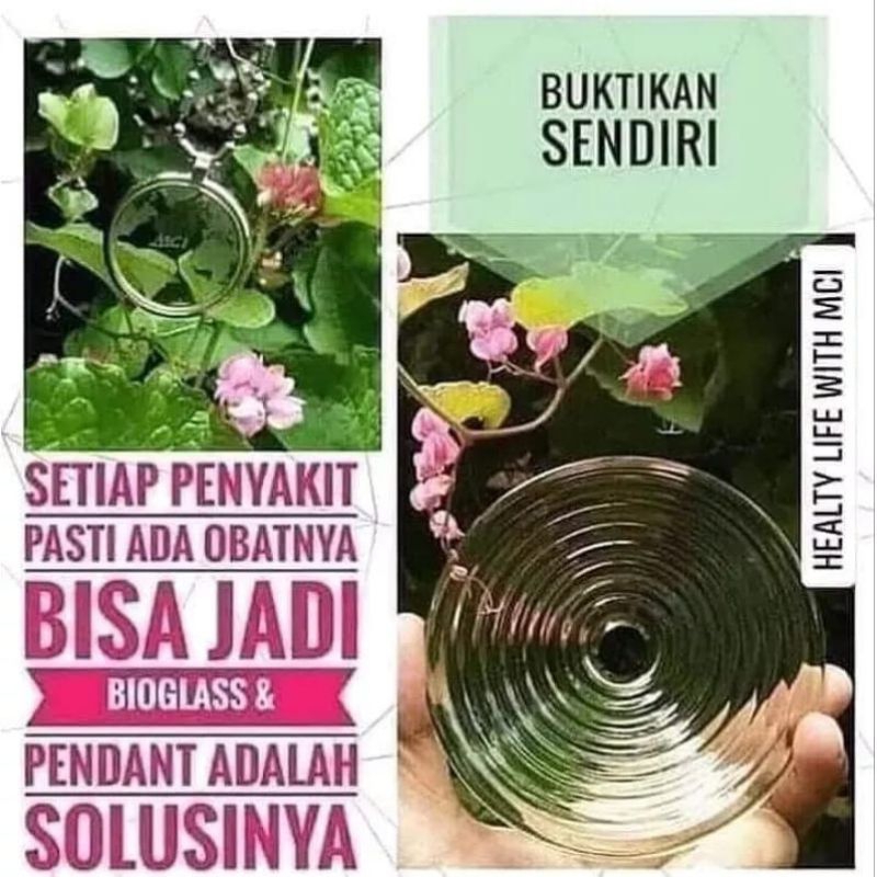 MCI Bioglas 2+