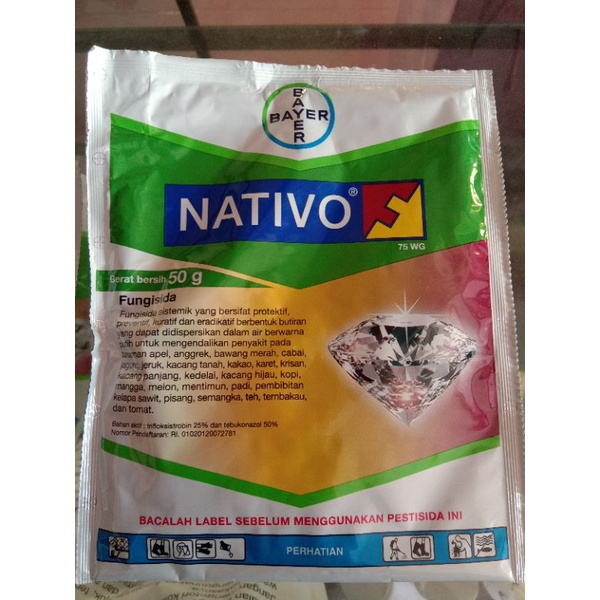 Fungisida nativo 50 gr