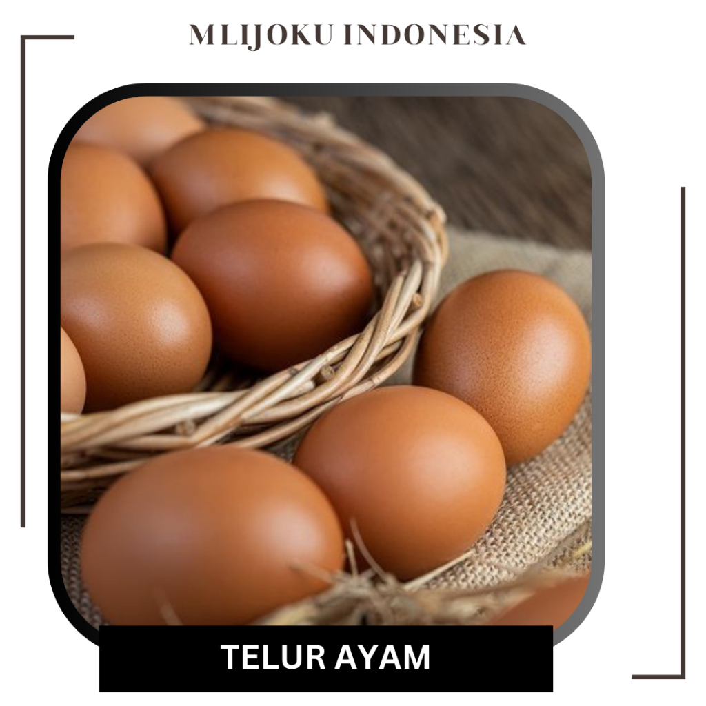 

Telur Ayam Negeri 250gr, 500gr