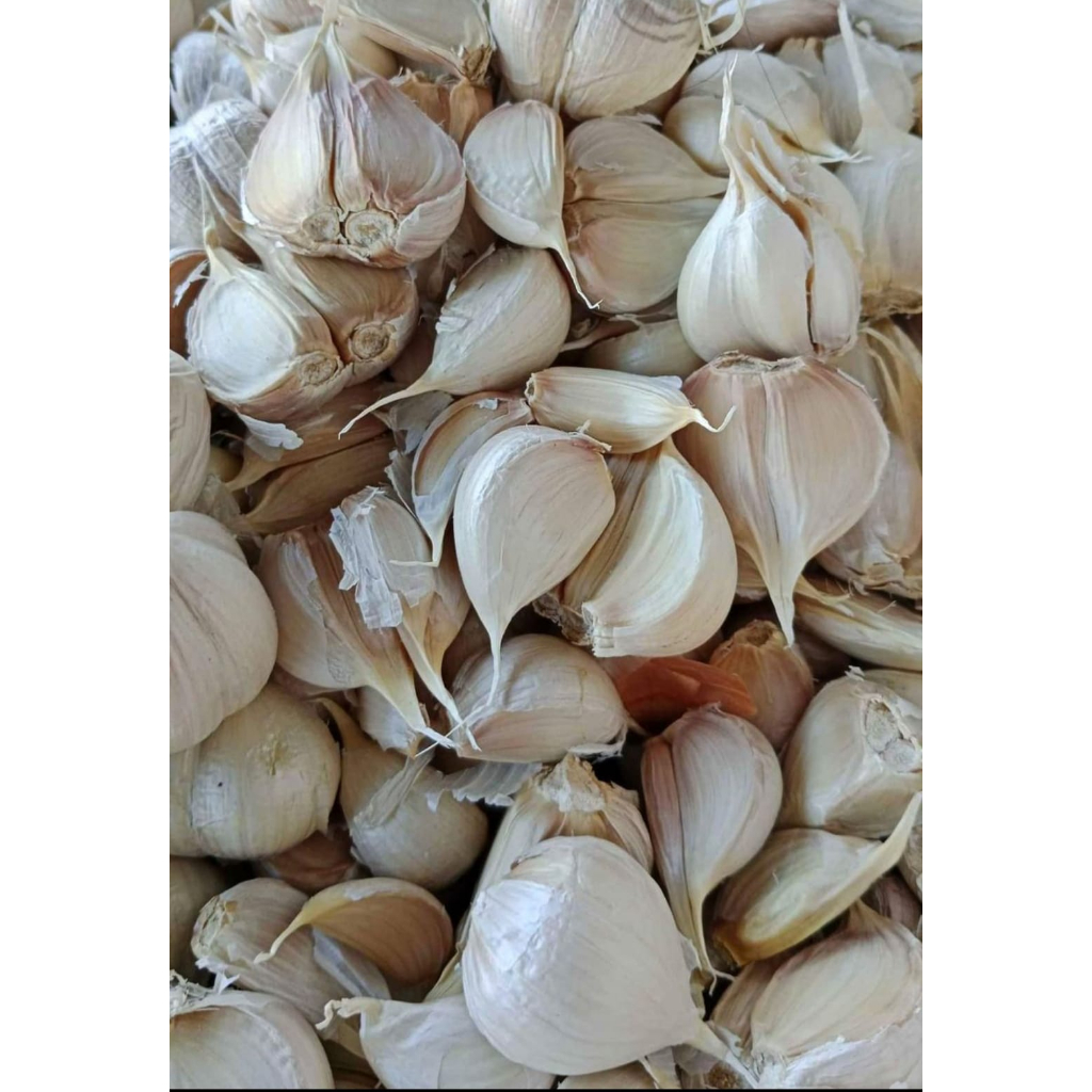 

Bawang Putih Kating Bersih 500gr
