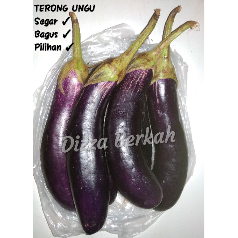 

Terong Ungu/300gr/Fresh/Pilihan/Murah/Dizza Berkah