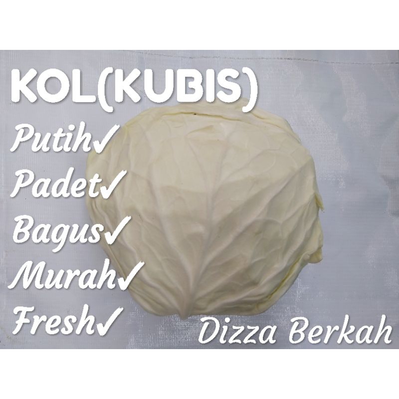 

Kol/Kubis/500gr/Pilihan/Seger/Bagus/Dizza Berkah