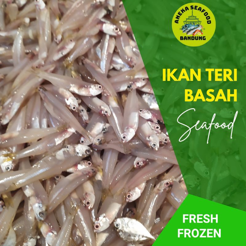 

Ikan Teri Basah Fresh Frozen / Teri Jengki / Teri Bunga / Teri Bulat (Bukan Teri Medan) 500gr