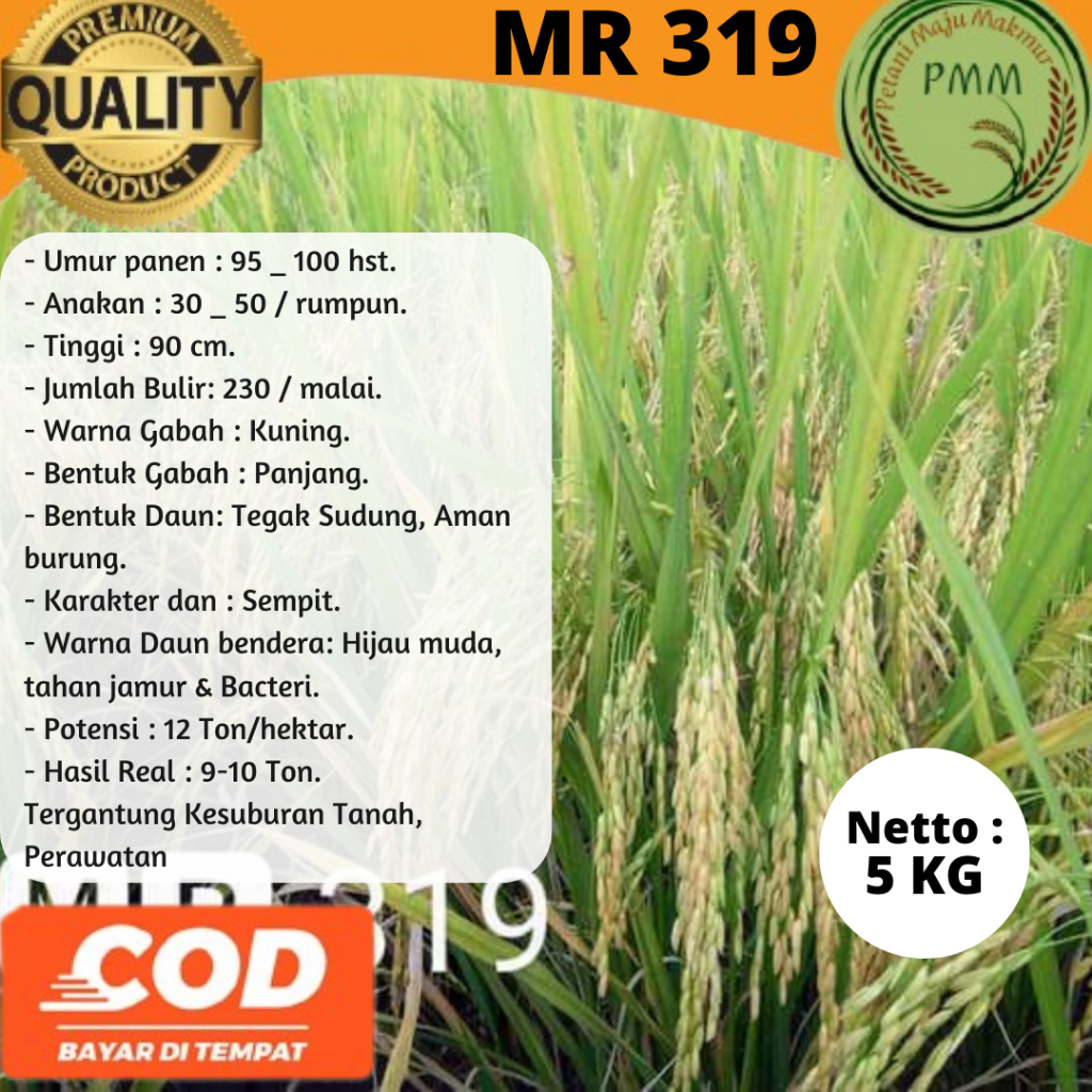 Biji Padi Unggul MR 319 5KG