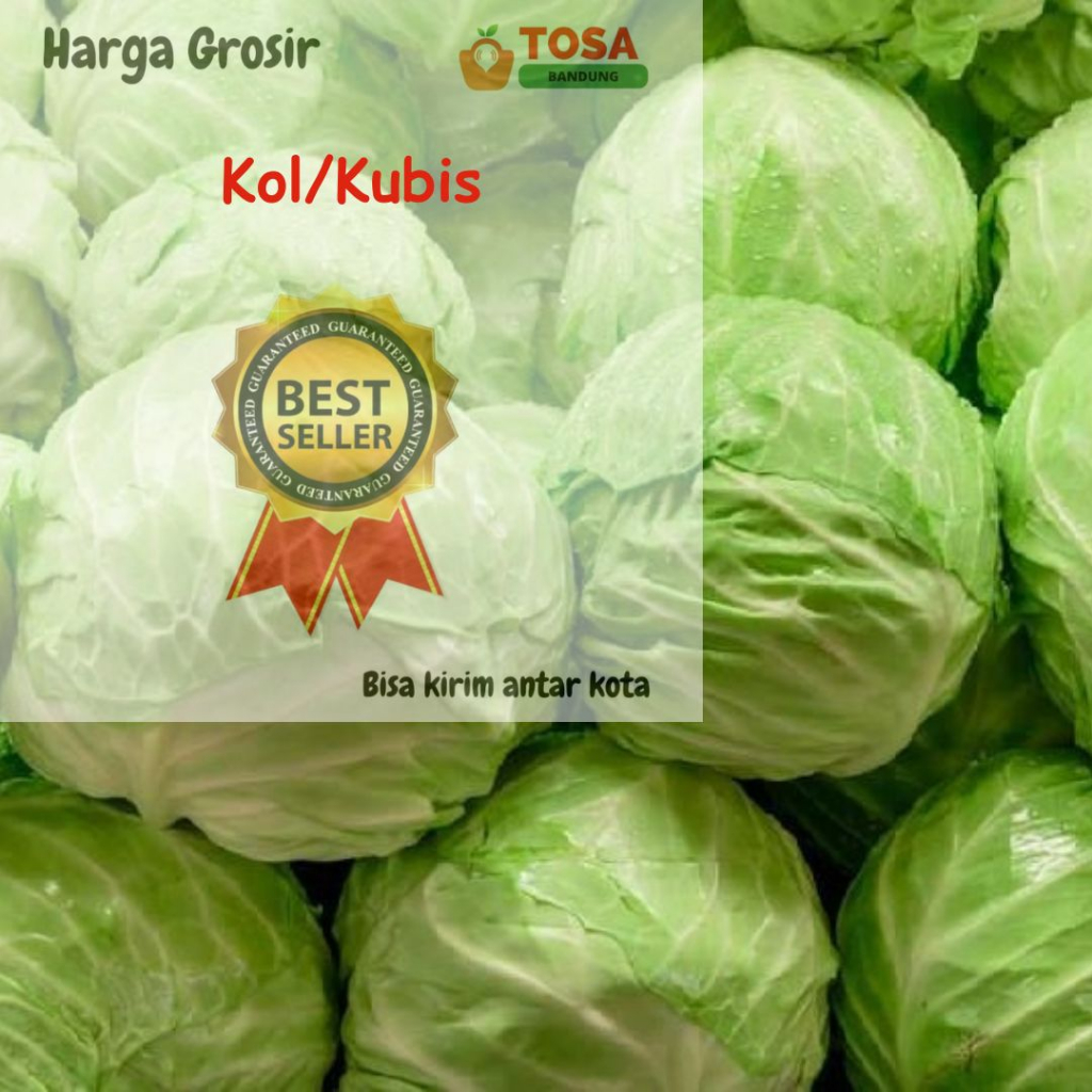 

Kol/Kubis Segar Kirim antar kota