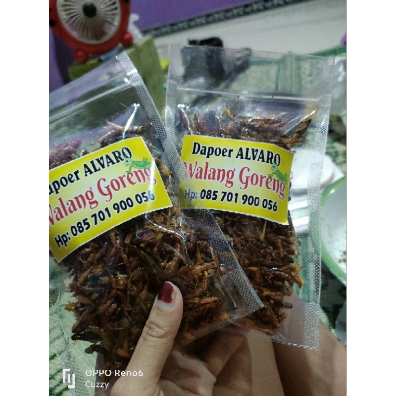 

Belalang Goreng UTES 100 gram