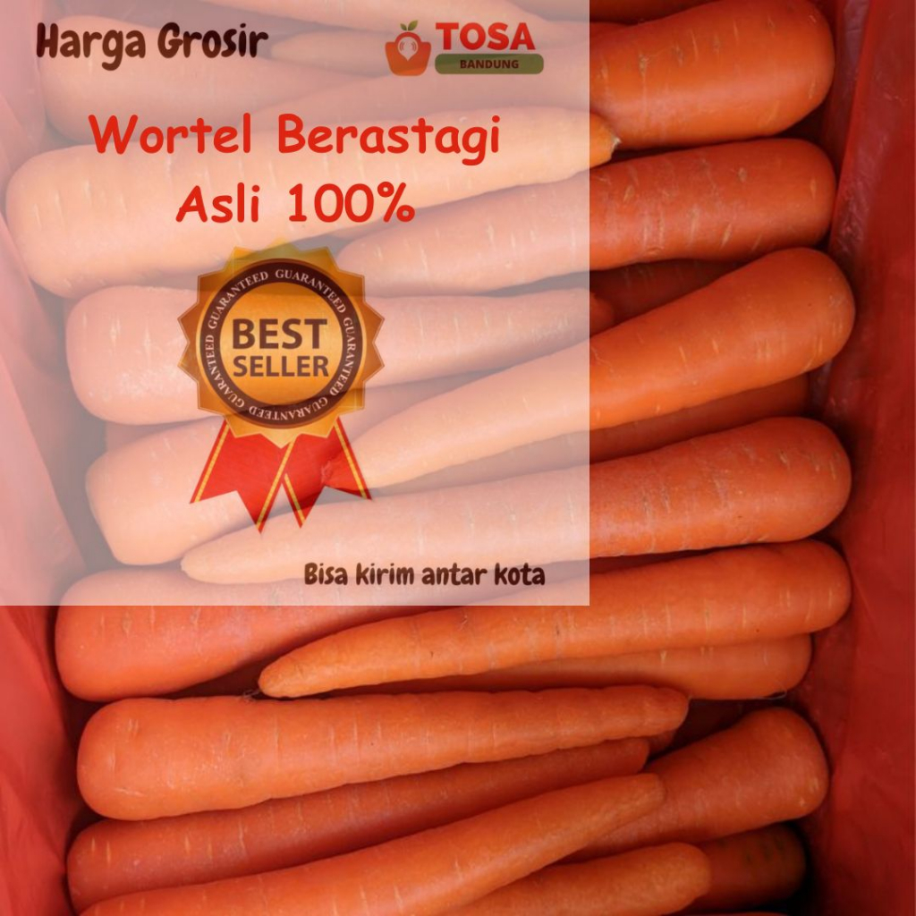 

Wortel Berastagi asli kirim antar kota