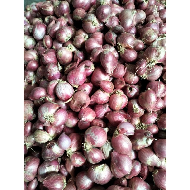 

PROMO BAWANG MERAH SUPER 500gram