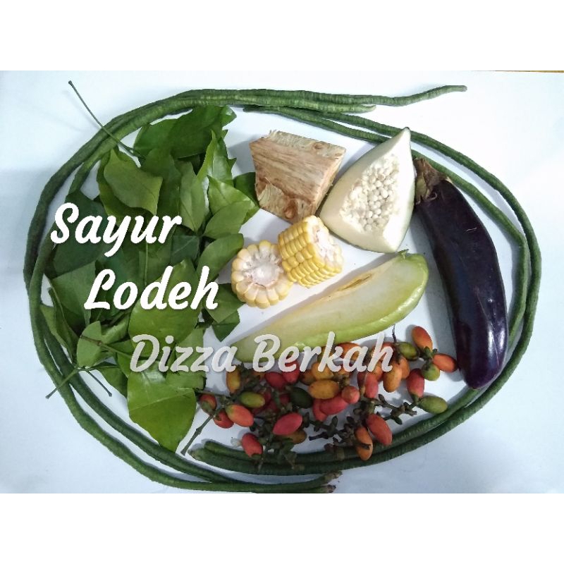 

SAYUR LODEH/1 Bungkus/Fresh/Bagus/Dizza Berkah