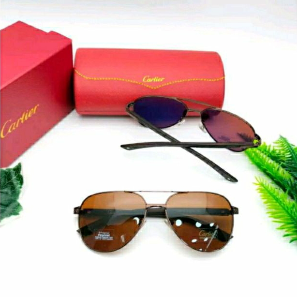 Kacamata Pria C-T Polarized - Kacamata Pria Sunglasses - Warna Cokelat