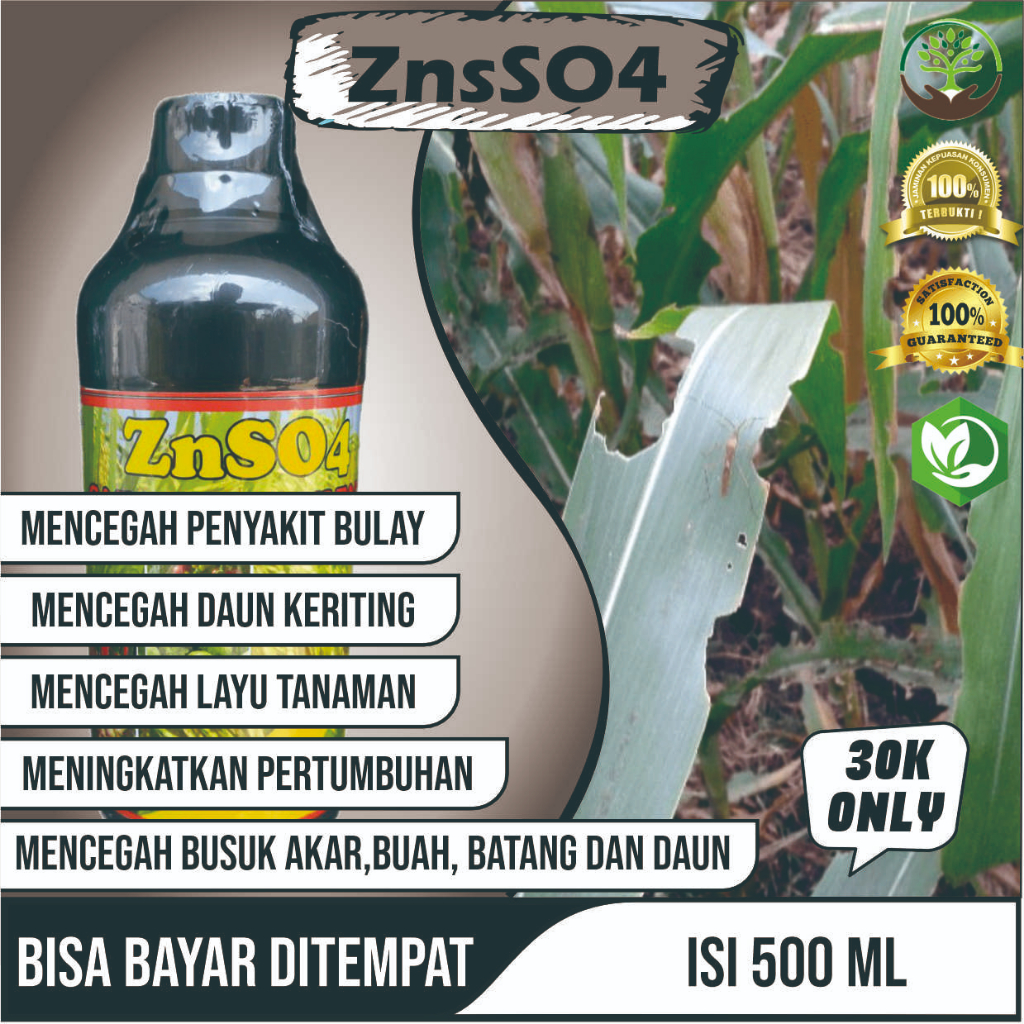 ZN cair pupuk znso4 super fertilizer znso4 500 ml boron dan kalsium Obat Busuk buah Jagung dan Mengobati Bercak daun Dan Segala Penyakit pada Tanaman Jagung