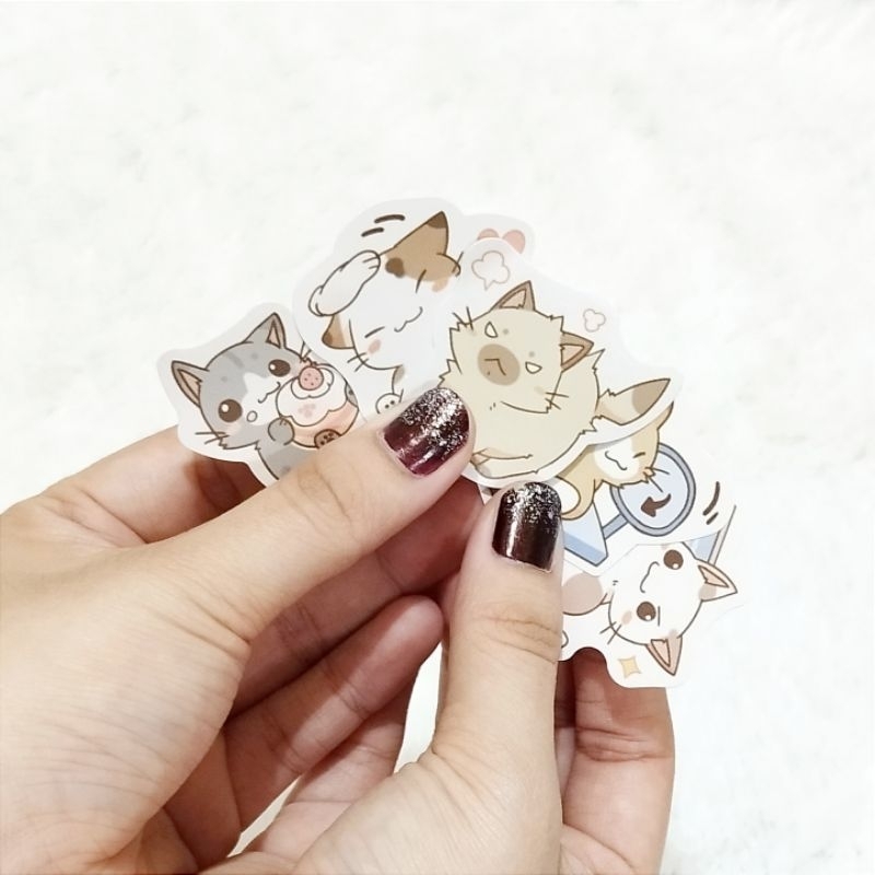 

8 Pcs Sticker scrapbook sticker planning sticker jurnal sticker aesthetic Sticker DIY