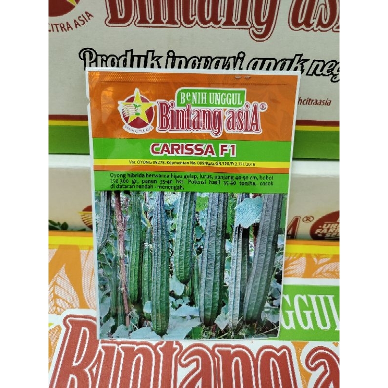 Benih Gambas Oyong Carissa F1 10 gram Bintang Asia Benih Oyong