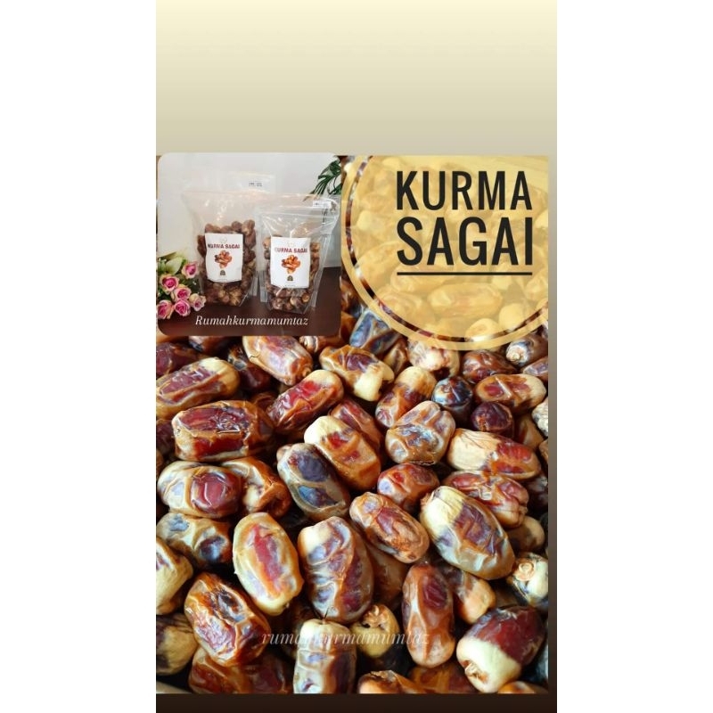 kurma sagai