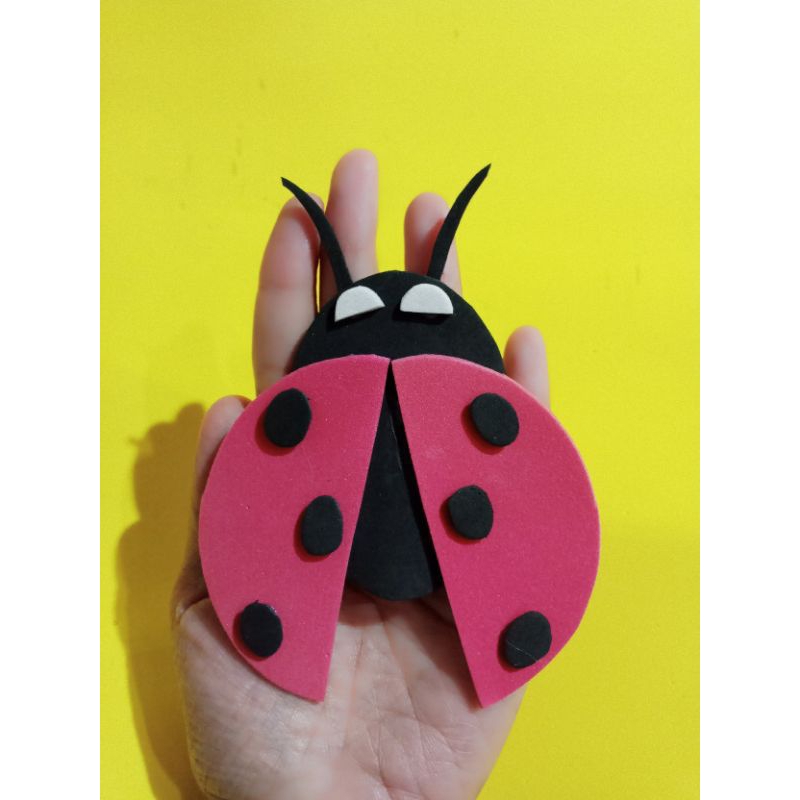 

hiasan kumbang// hiasan sekolah