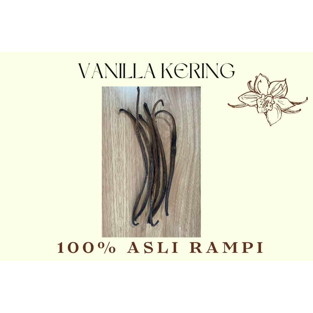

Vanila Vanilla Vanili Kering Bean Batangan Premium Asli Rampi 1pcs