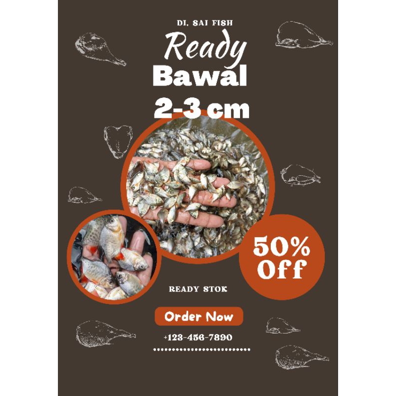 Paket 50 Bibit Bawal Air tawar size 2-3 cm  Bawal Bibit | Bawal Segar | Bawal Hidup |  Ikan Air Tawa