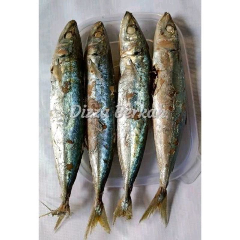 

IKAN PINDANG/1 Bungkus/Enak/Dizza Berkah