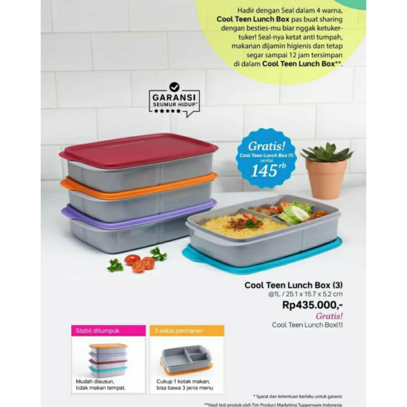 COOL TEEN LUNCH BOX / TEMPAT MAKAN TUPPERWARE