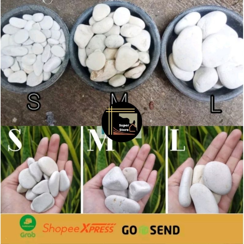 Batu Koral Putih Kupang Untuk Hiasan Taman - Batu Koral Putih Hiasan Taman Aquascape