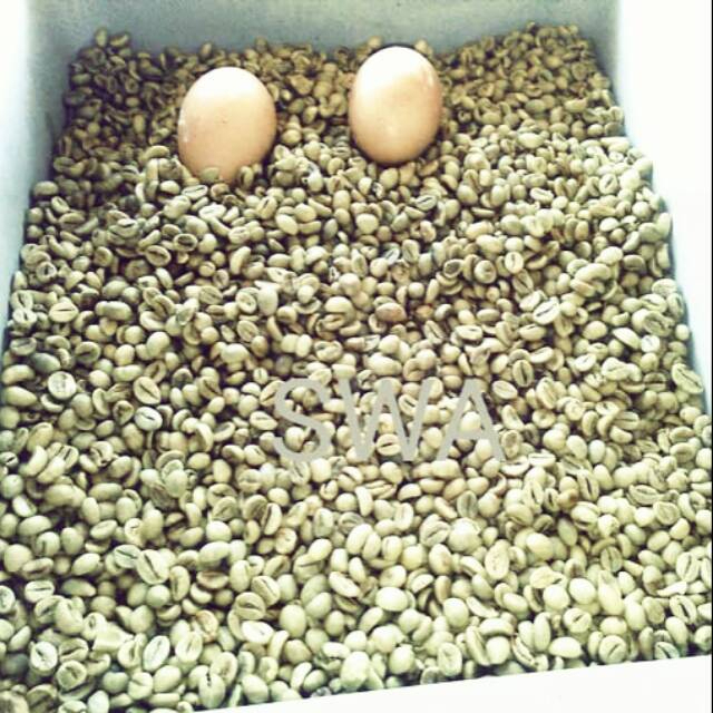 

Beli Sekarang Biji Kopi Mentah Green Bean Arabika Coffee 1 KG