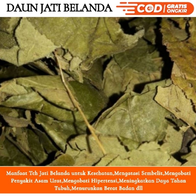 

RL Daun jati belanda kering 1kg