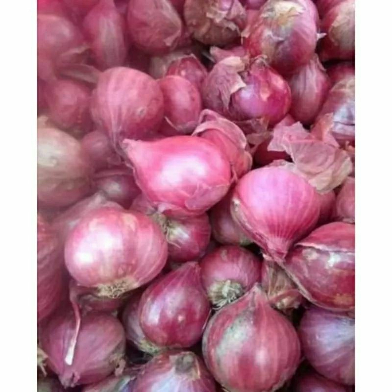 

bawang merah 1kg.hasil panen petani sendiri