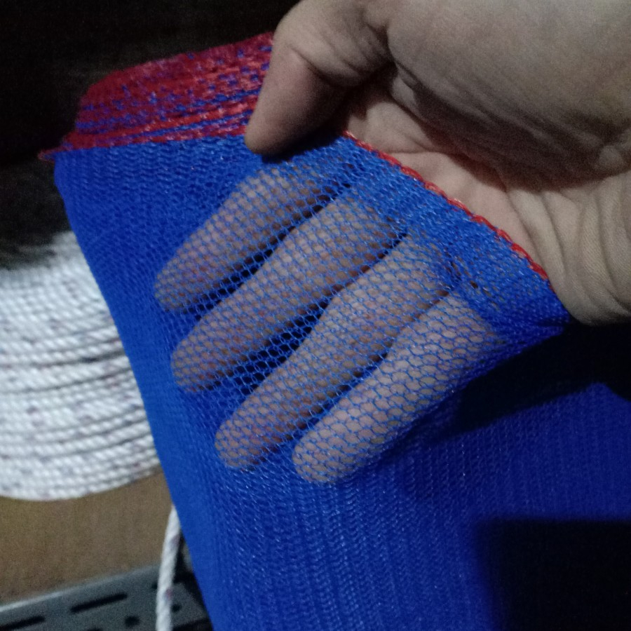 jaring bangunan PARANET biru