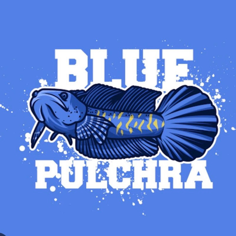 

Stiker BLUE PULCHRA Single Tank 9-10