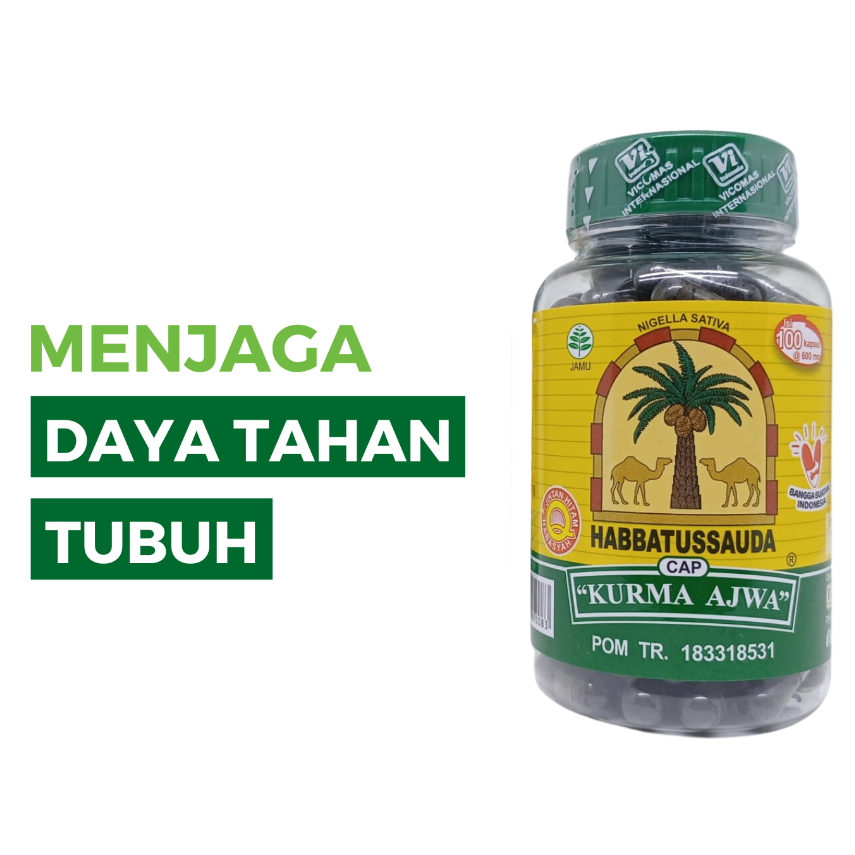Habbatussauda Cap KURMA AJWA 210 Kapsul Serbuk Jinten Hitam Herbal Habbatusauda Oil Minyak Habatusau