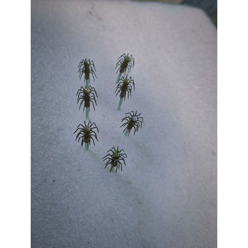 Ruit kapela/ruid egi/hook egi micro/ruid kapela micro/ruit kapela/ruit egi/hook cumi/