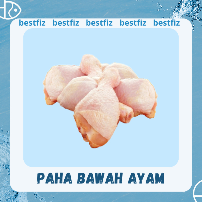 

Paha Bawah