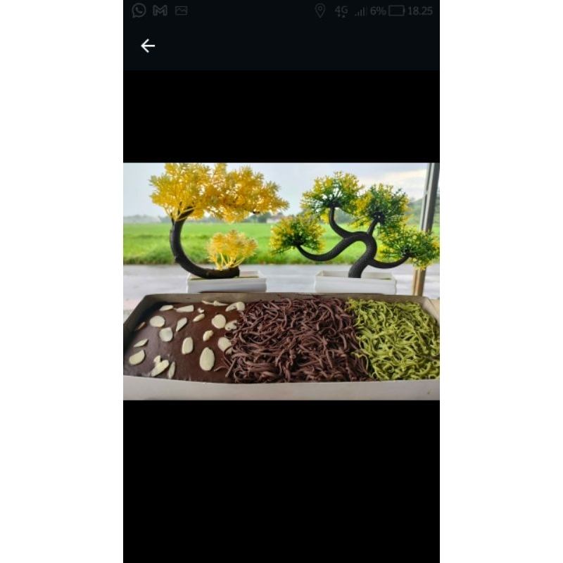

brownies