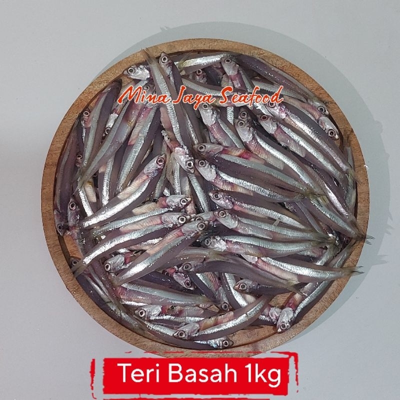 

Ikan Teri Basah 1KG / Ikan Teri Galer 1kg