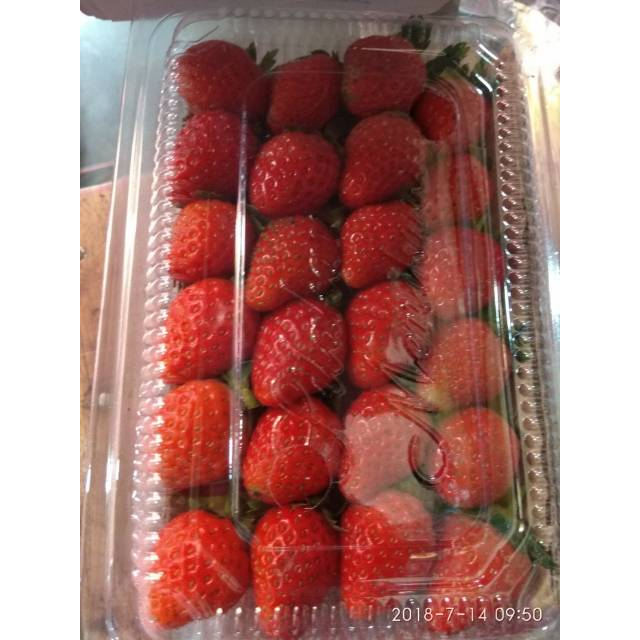 

QUEEN BUAH - BUAH STRAWBERRY ORGANIK BANDUNG