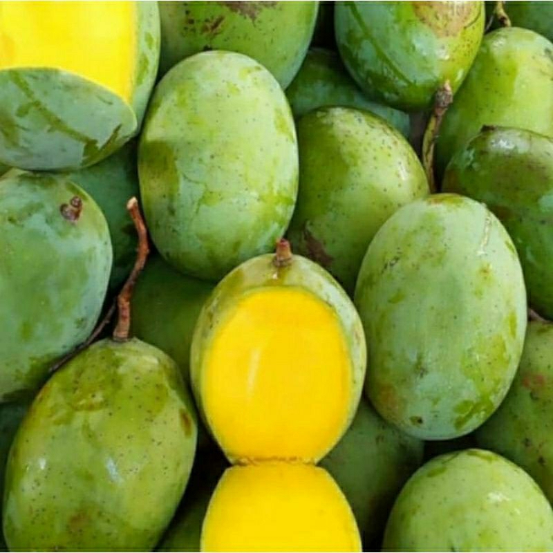 

BUAH MANGGA KWENI MANIS SEGAR 1KG