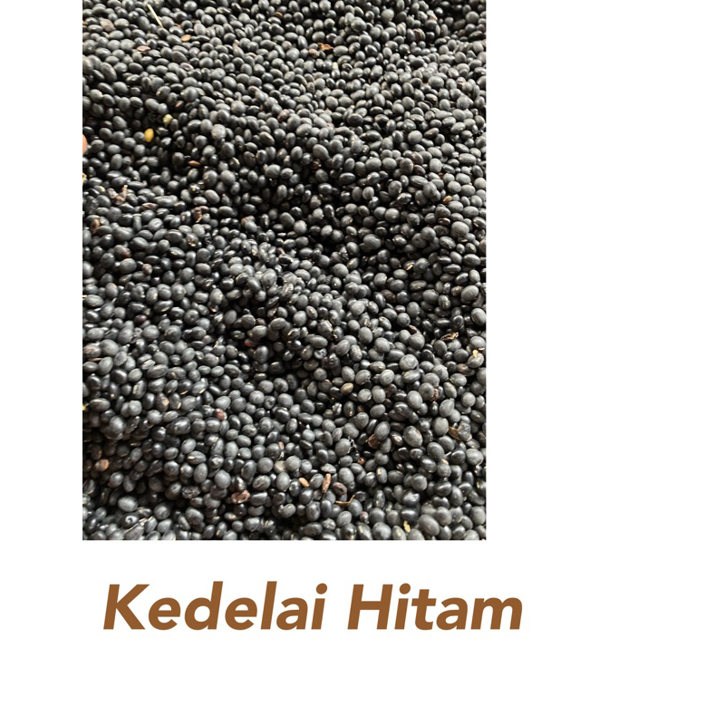 

Kedelai Hitam Best Value 250g