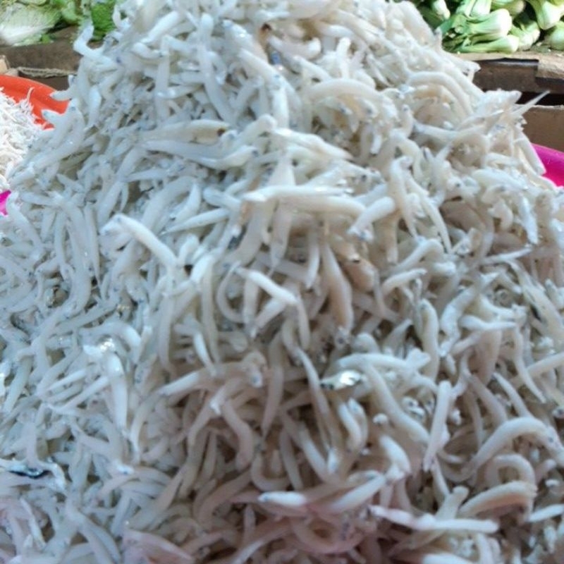 

Teri Medan Toge / Teri Medan jumbo 100grm