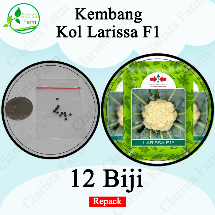 Benih Bibit Kembang Kol Larissa F1 Repack Cap Panah Merah