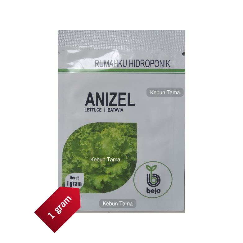 Benih Selada Anizel Bejo Seed Isi 1 Gram