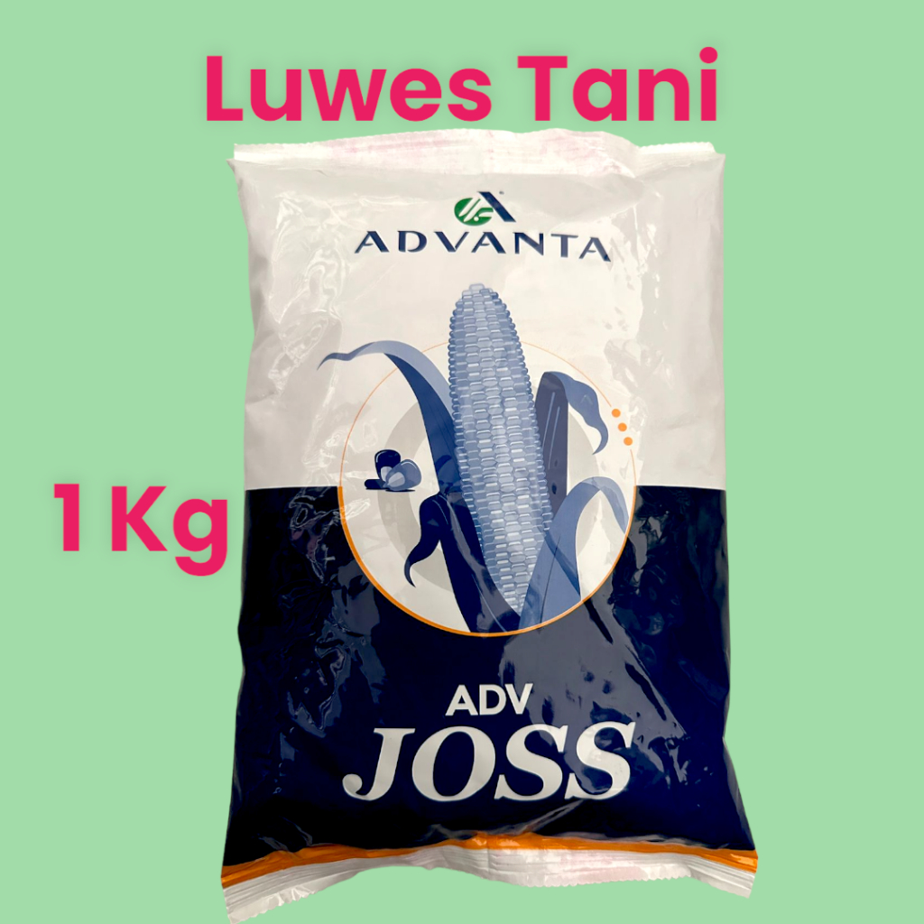 Benih Jagung ADV JOSS 313 hibrida 1kg Advanta seed