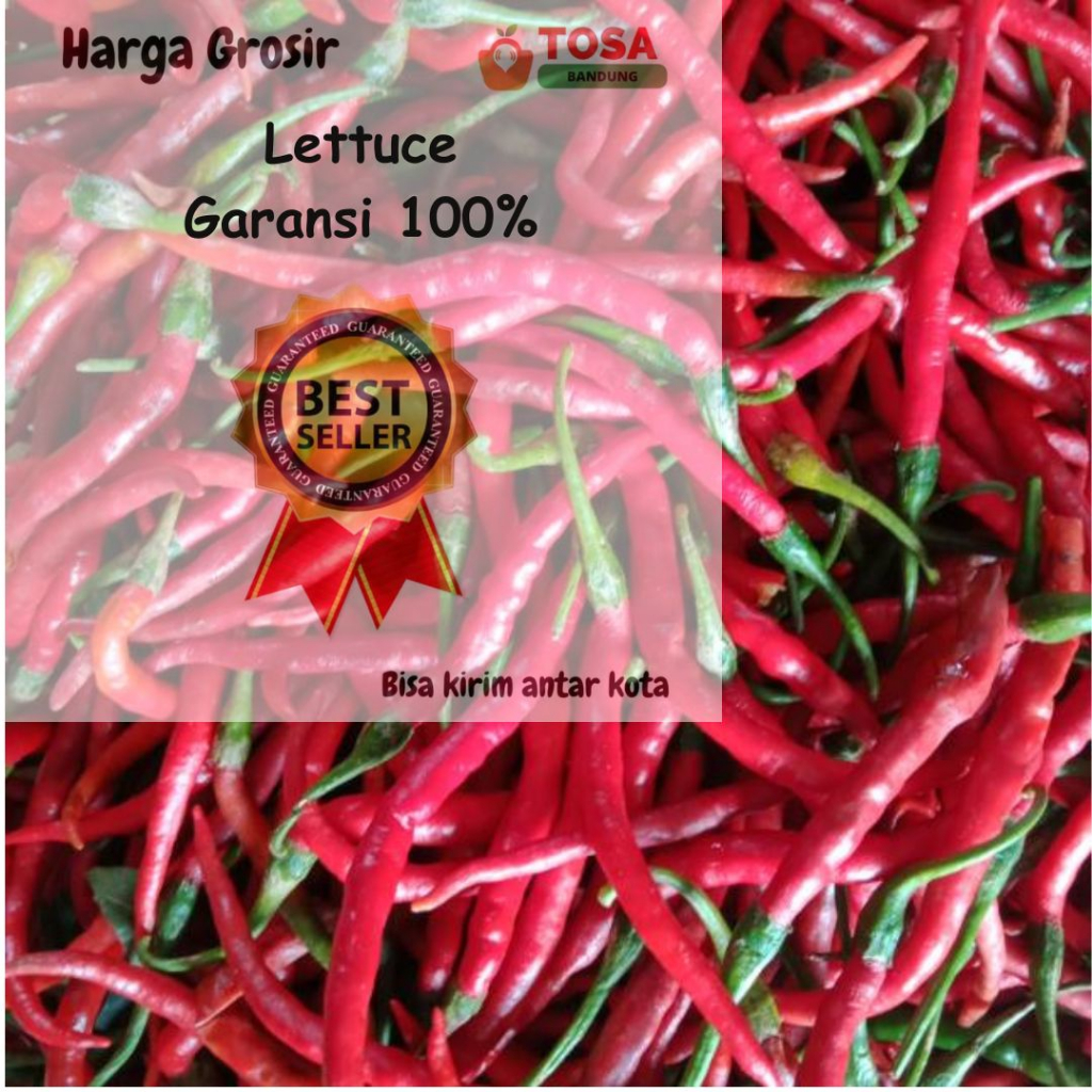 

Cabe Keriting Merah grosir kirim antar kota