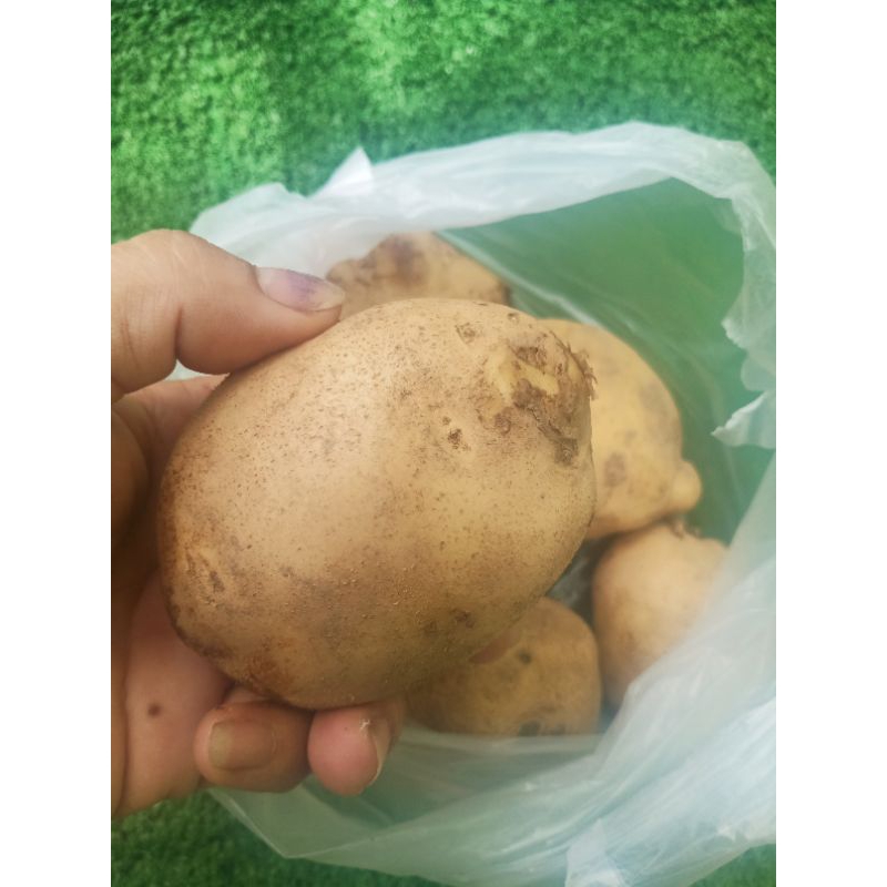

Kentang Segar 500 gr