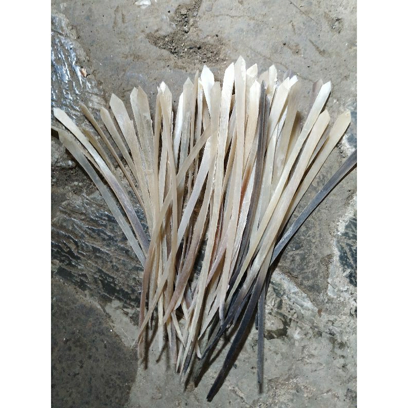 Tali Simpai tanduk kerbau hitam Simpay Tanduk Kerbau bedog | Tali Serangka bedog | Warangka bedog | 