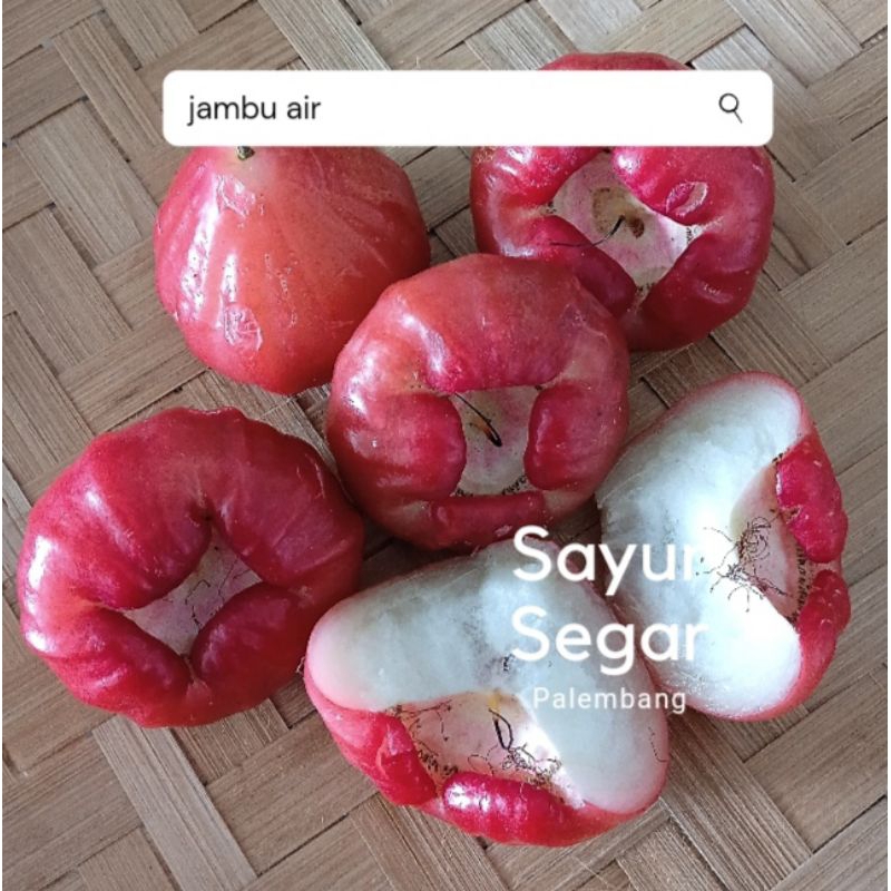 

Jambu Air Merah 500 gr Sayur Segar Palembang