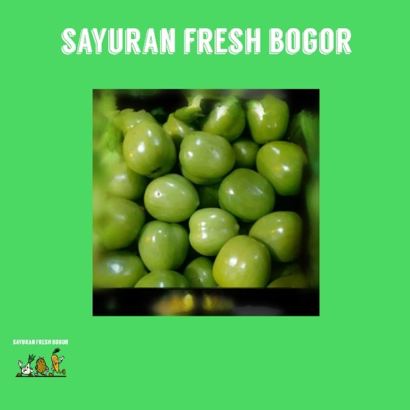 

Tomat Hijau Segar ( 500 Gram ) | Sayuran Fresh Bogor