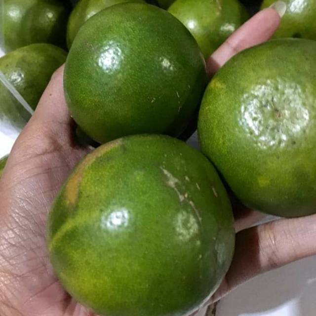 

QUEEN BUAH - Buah jeruk manis pontianaKAB segar 1kg